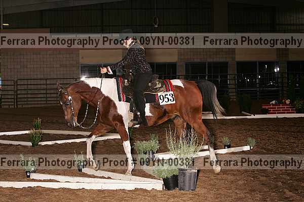 Proof 09yn-00381