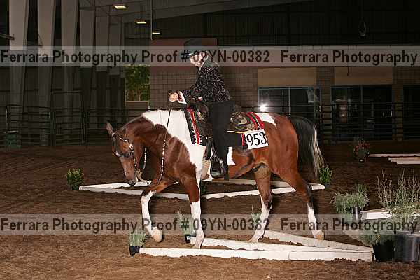 Proof 09yn-00382
