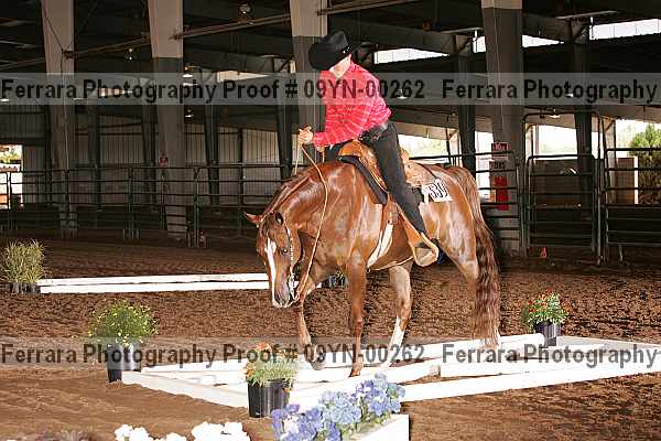 Proof 09yn-00262