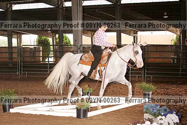 Proof 09yn-00263