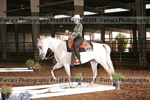 Proof 09yn-00269