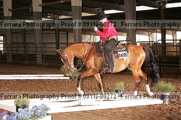 Proof 09yn-00272