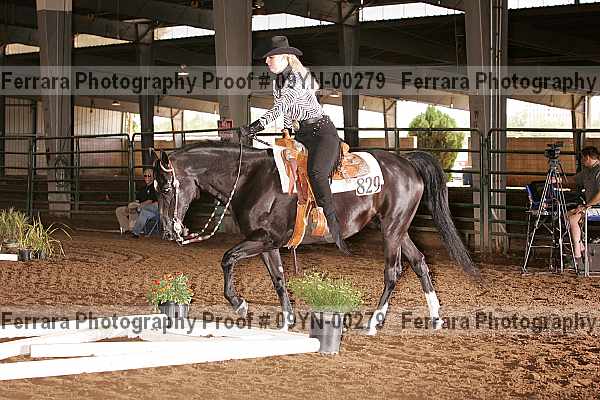 Proof 09yn-00279