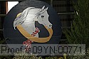 09yn-00771 proof