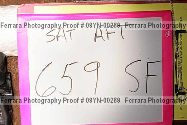 Proof 09yn-00289