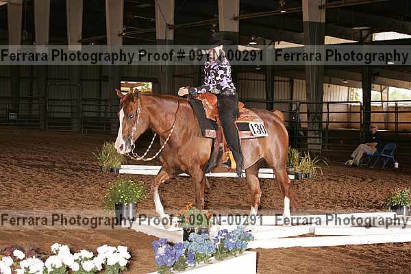 Proof 09yn-00291