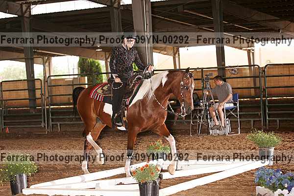 Proof 09yn-00292
