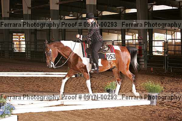 Proof 09yn-00293