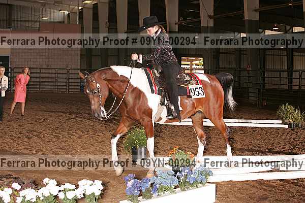 Proof 09yn-00294