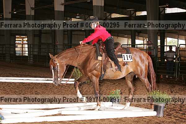 Proof 09yn-00295