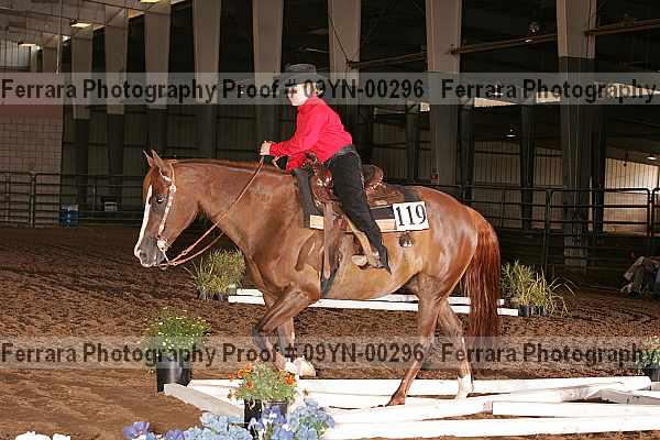 Proof 09yn-00296