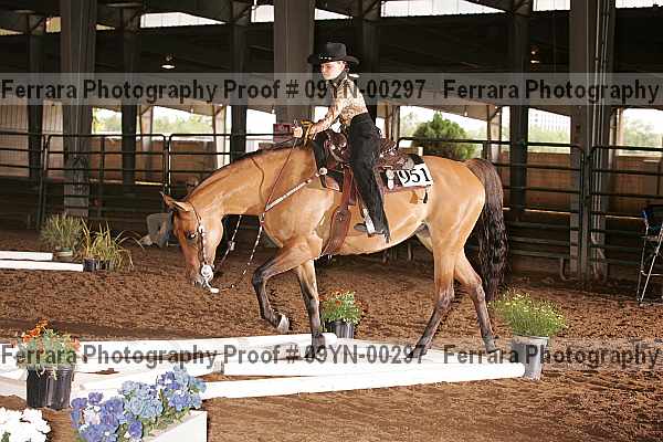 Proof 09yn-00297