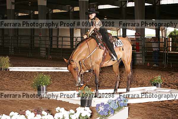 Proof 09yn-00298