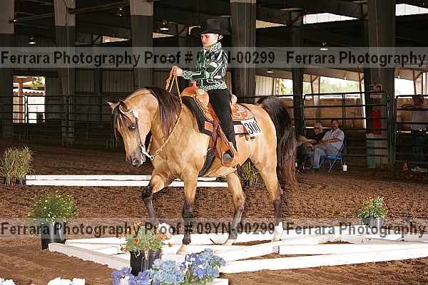 Proof 09yn-00299