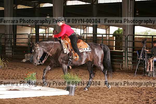 Proof 09yn-00304