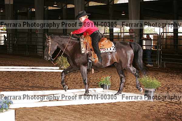 Proof 09yn-00305