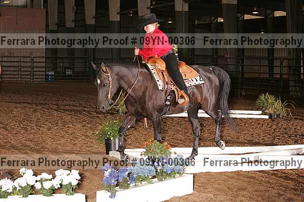 Proof 09yn-00306