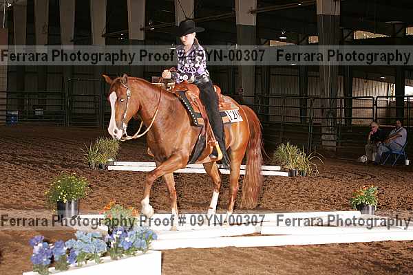 Proof 09yn-00307
