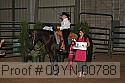 09yn-00788 proof