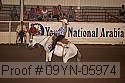 09yn-05974 proof