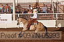 09yn-05993 proof