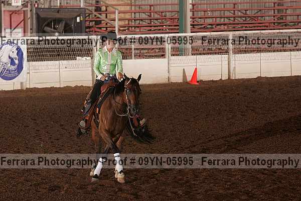 Proof 09yn-05995