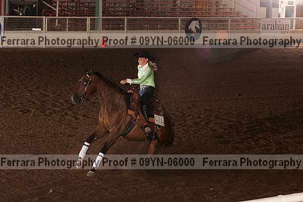 Proof 09yn-06000