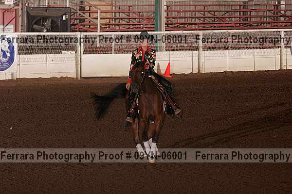 Proof 09yn-06001