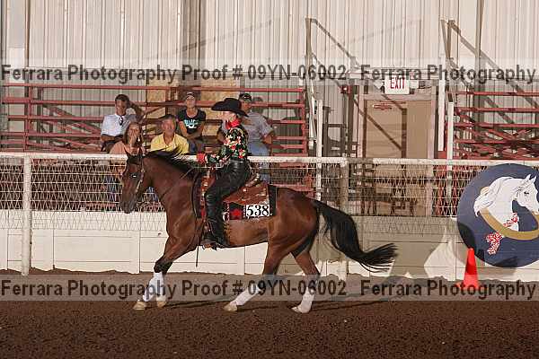 Proof 09yn-06002