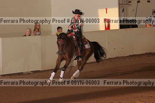 Proof 09yn-06003