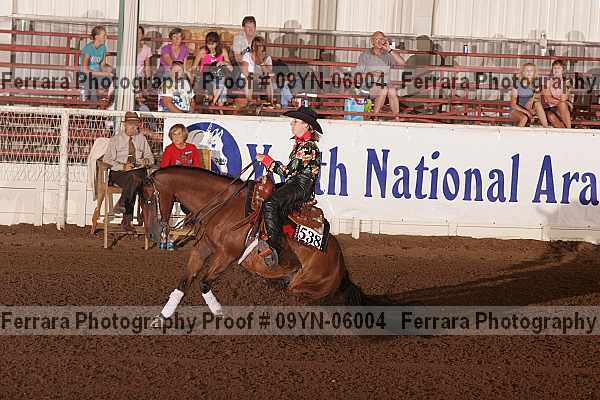 Proof 09yn-06004