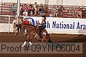 09yn-06004 proof