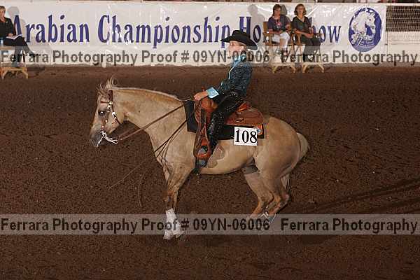 Proof 09yn-06006