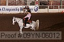 09yn-06012 proof