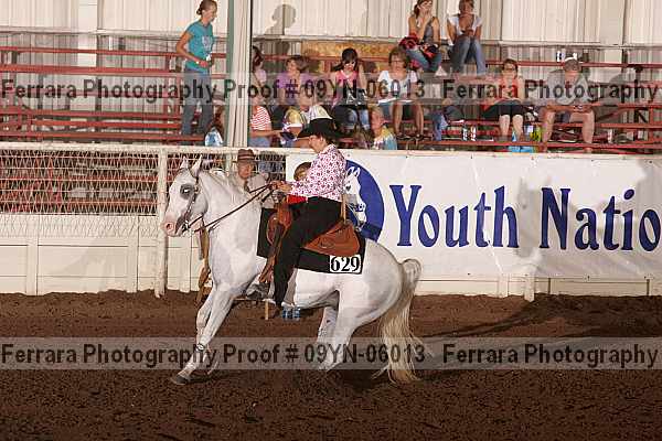 Proof 09yn-06013