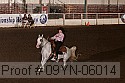 09yn-06014 proof