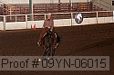 09yn-06015 proof