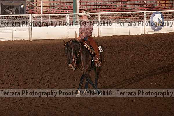 Proof 09yn-06016