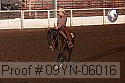 09yn-06016 proof