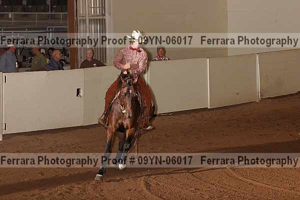 Proof 09yn-06017