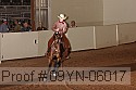 09yn-06017 proof