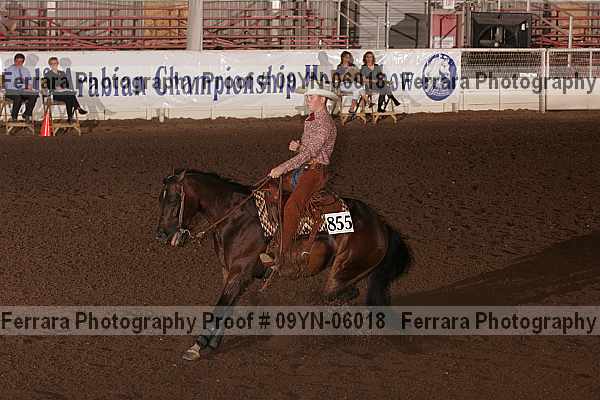 Proof 09yn-06018