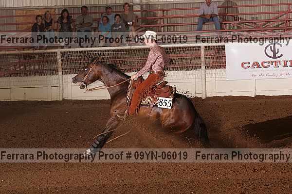 Proof 09yn-06019