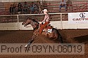 09yn-06019 proof