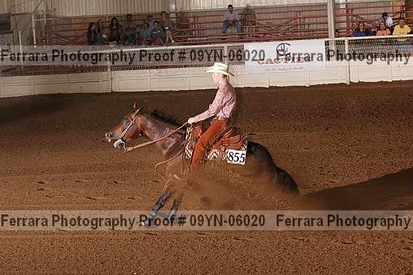 Proof 09yn-06020