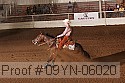 09yn-06020 proof
