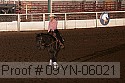 09yn-06021 proof