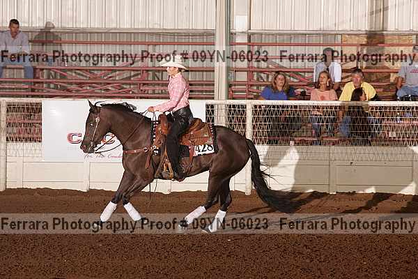 Proof 09yn-06023