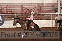 09yn-06025 proof