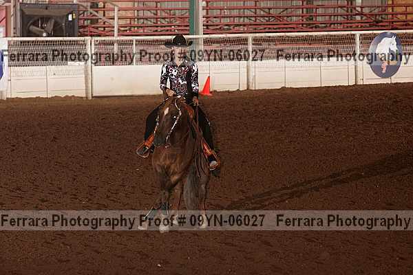 Proof 09yn-06027